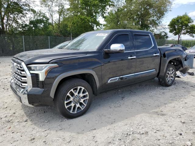 2022 Toyota Tundra Crewmax Platinum for Sale in Cicero, IN - Rear End