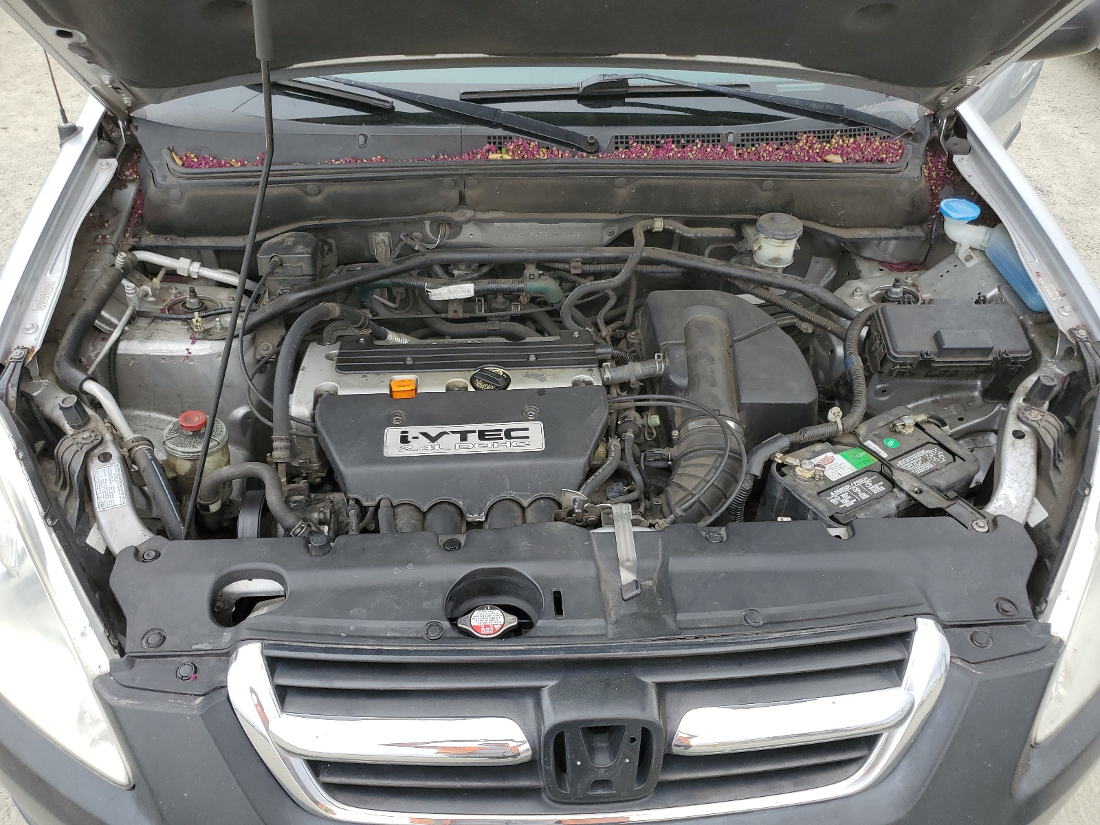 SHSRD78472U009822 2002 Honda Cr-V Lx