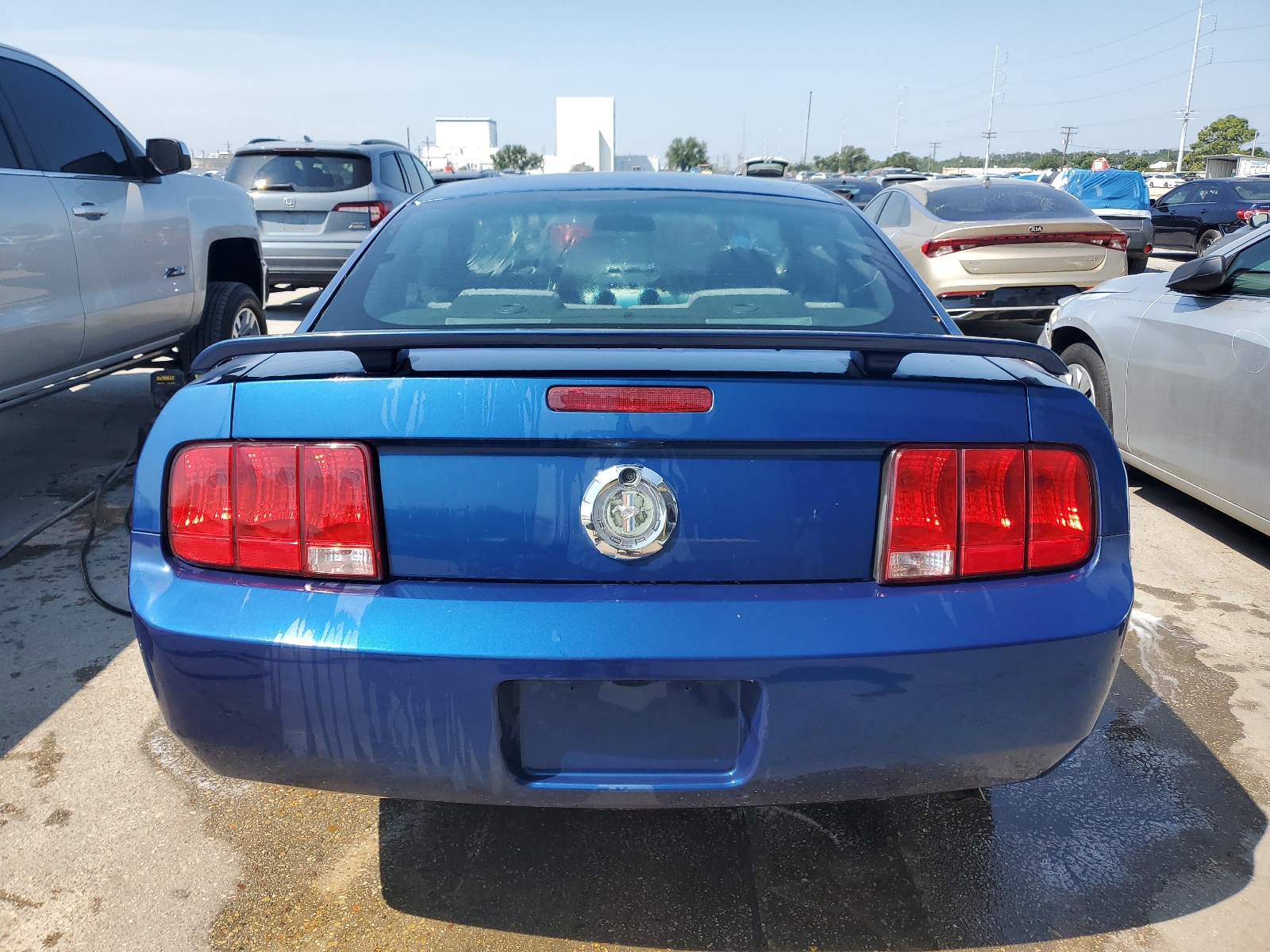 1ZVFT80N165134973 2006 Ford Mustang