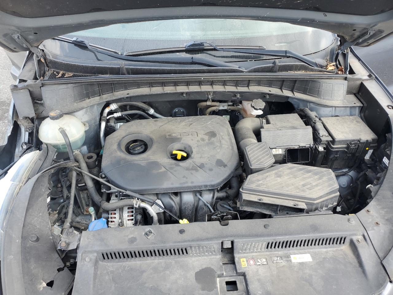 2017 Hyundai Tucson Limited VIN: KM8J3CA43HU494143 Lot: 67164594