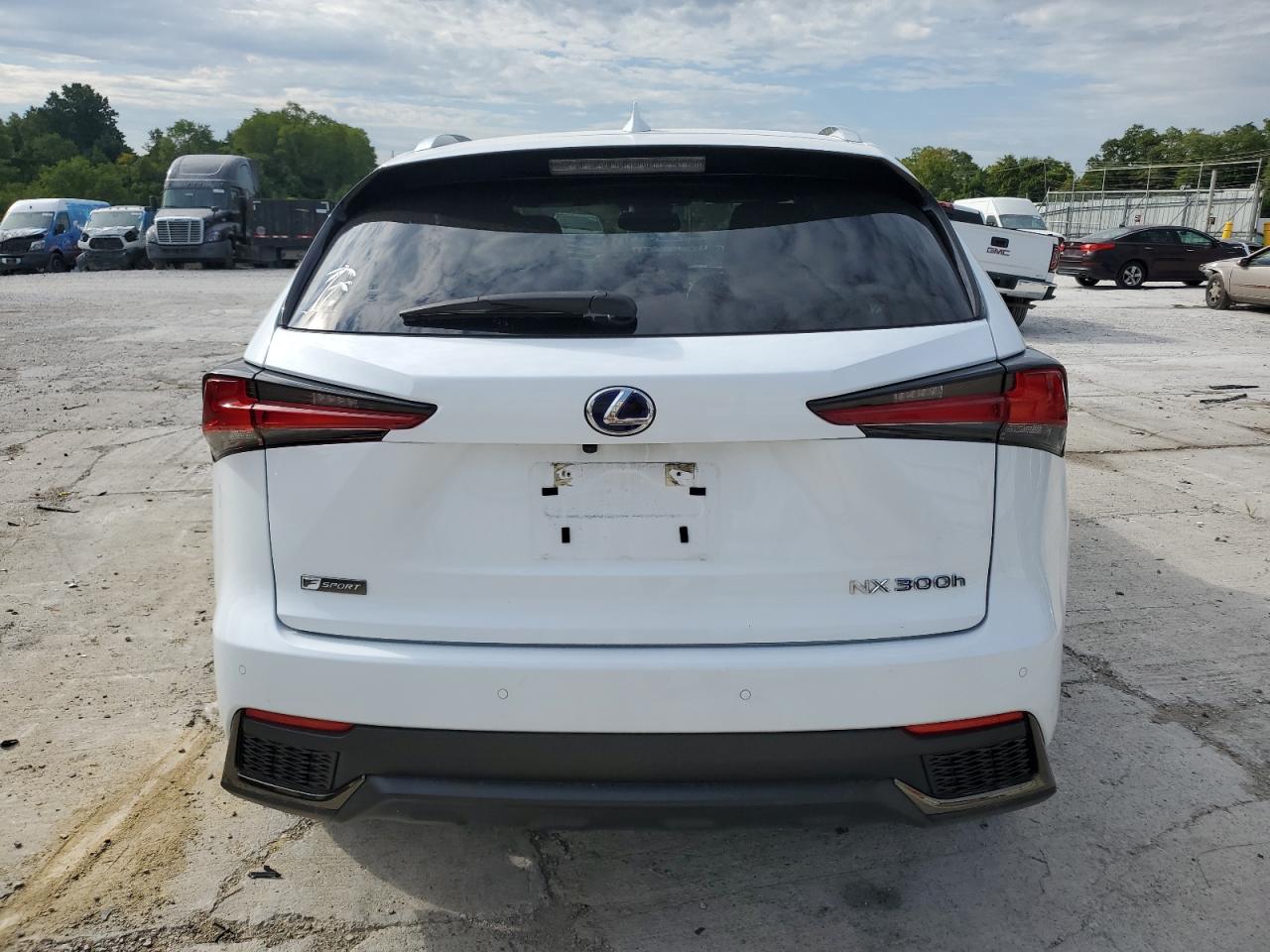 2021 Lexus Nx 300H Base VIN: JTJSJRDZ3M5010630 Lot: 66765924