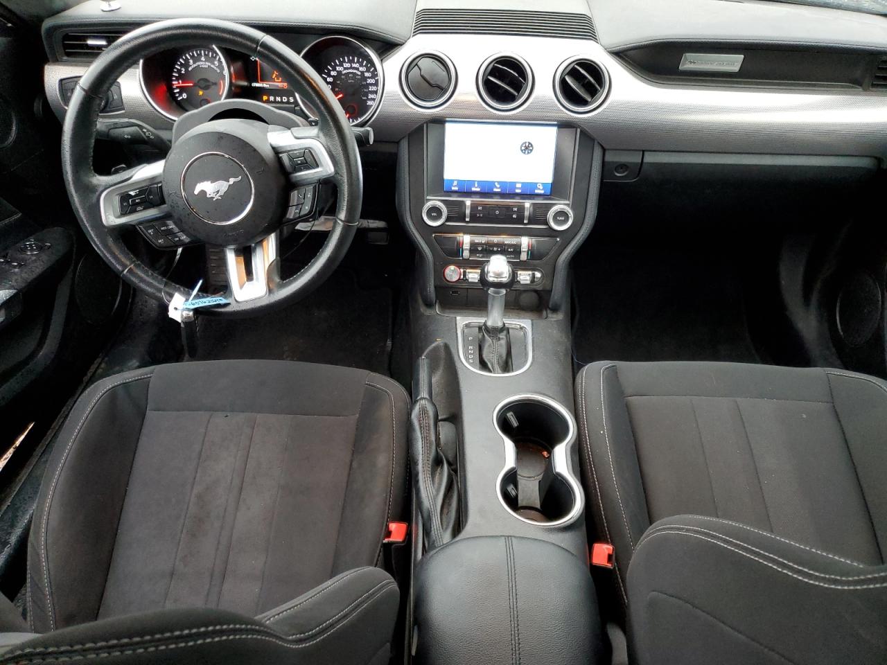 2019 Ford Mustang VIN: 1FA6P8TH0K5176094 Lot: 65762364