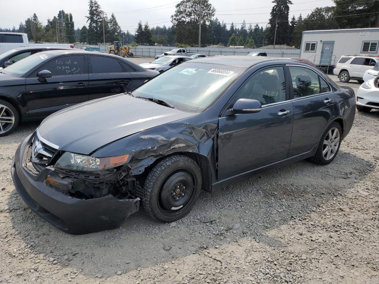 2004 Acura Tsx VIN: JH4CL96984C036567 Lot: 66866894