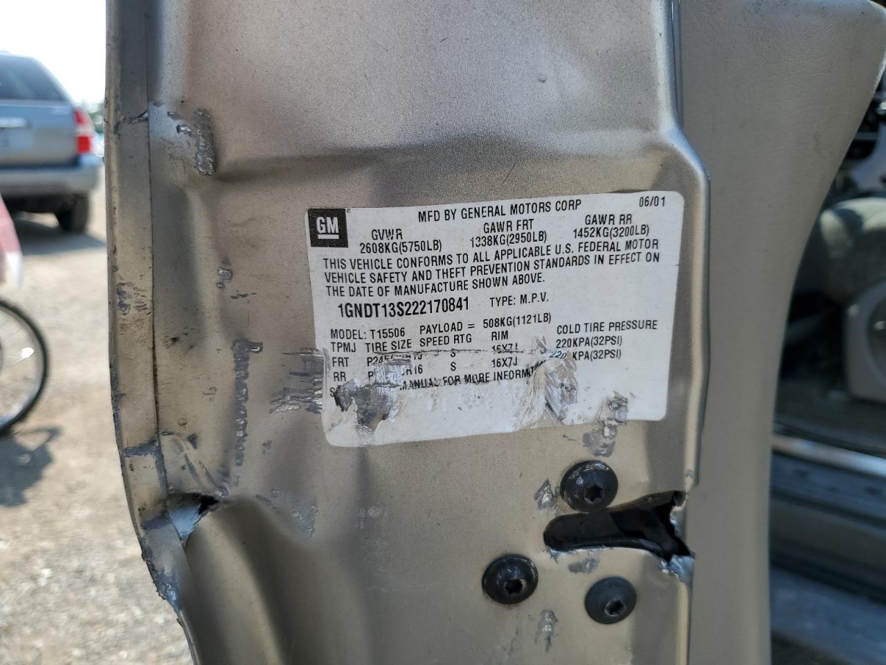 2002 Chevrolet Trailblazer VIN: 1GNDT13S222170841 Lot: 65637494