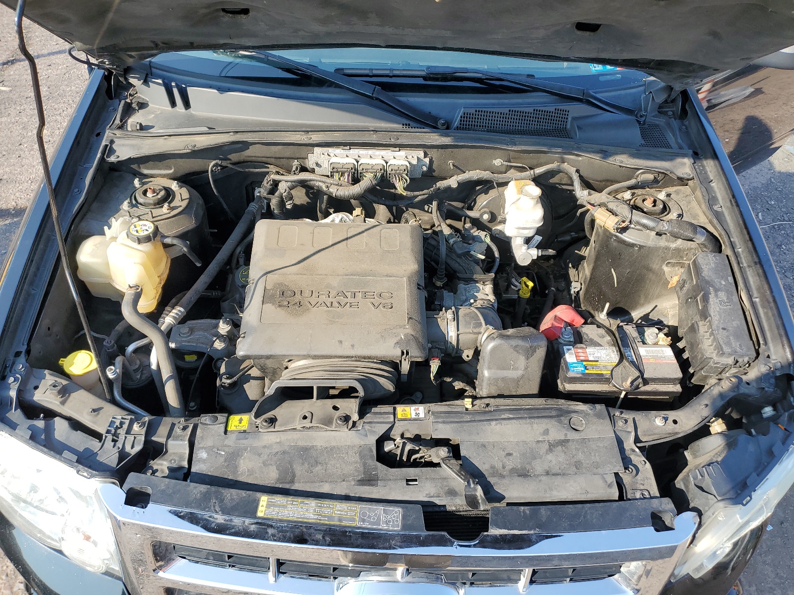 1FMCU0DG9CKC73788 2012 Ford Escape Xlt