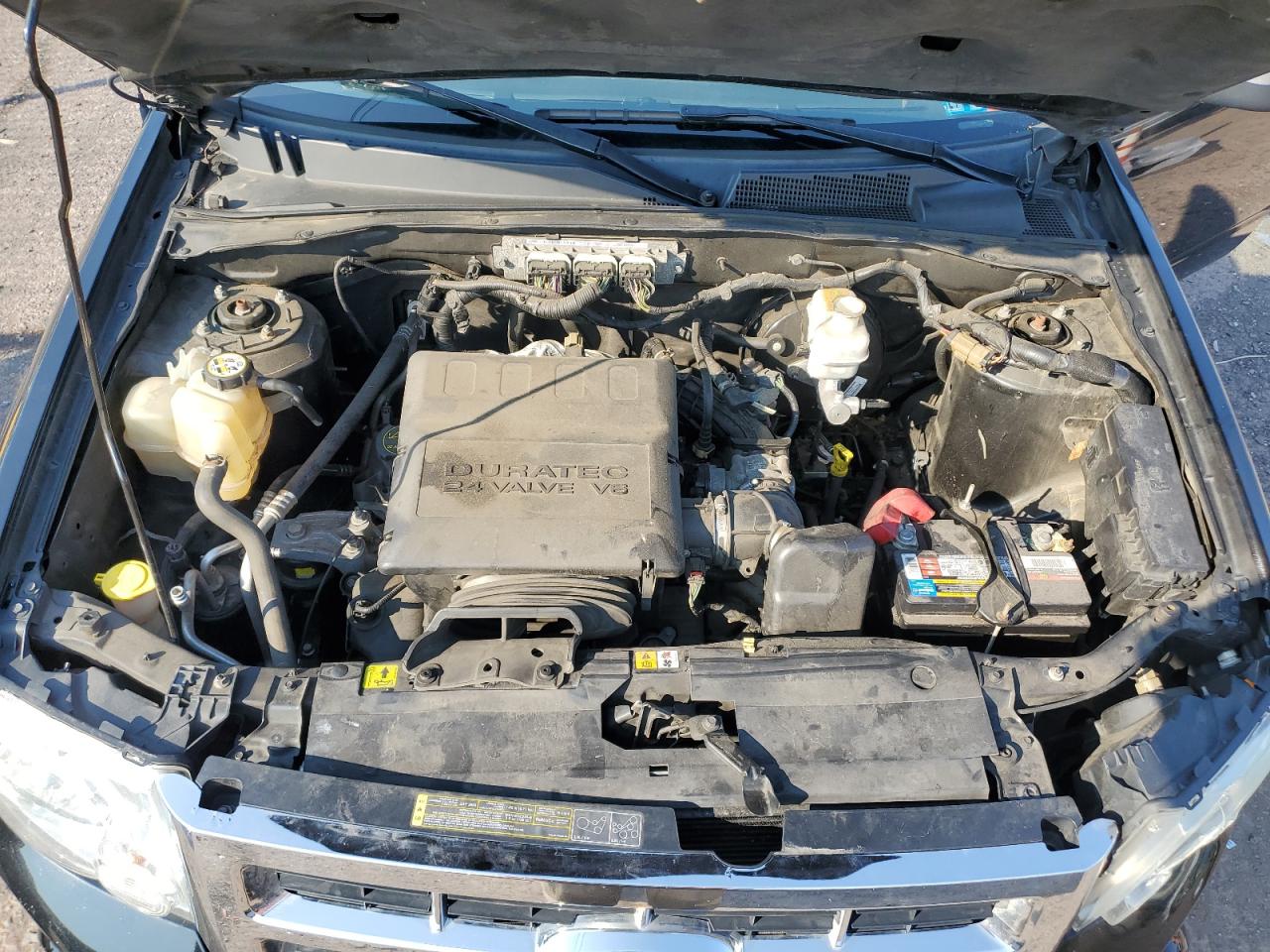 2012 Ford Escape Xlt VIN: 1FMCU0DG9CKC73788 Lot: 65636574