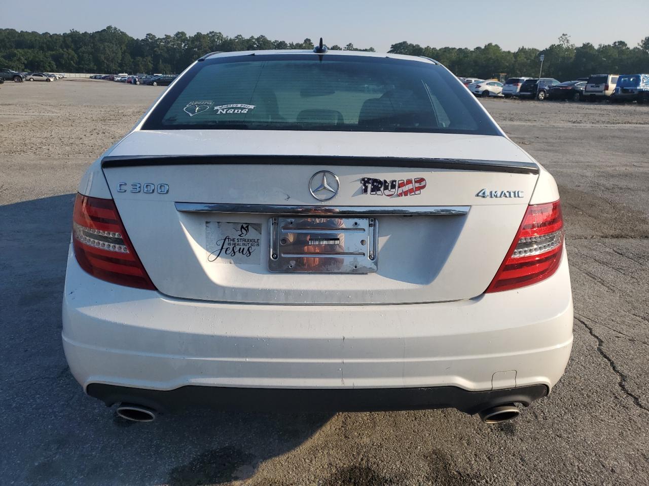 2013 Mercedes-Benz C 300 4Matic VIN: WDDGF8AB0DR283566 Lot: 67301404