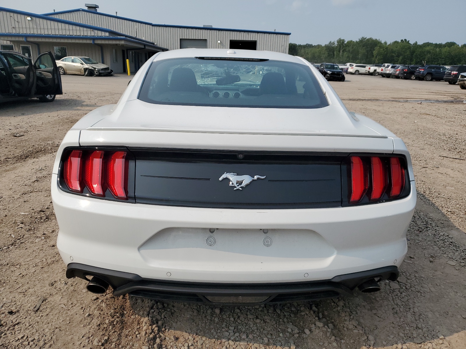 1FA6P8TH4K5186420 2019 Ford Mustang