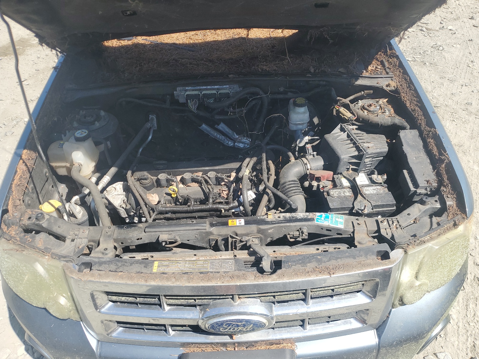 1FMCU9D76BKB28582 2011 Ford Escape Xlt