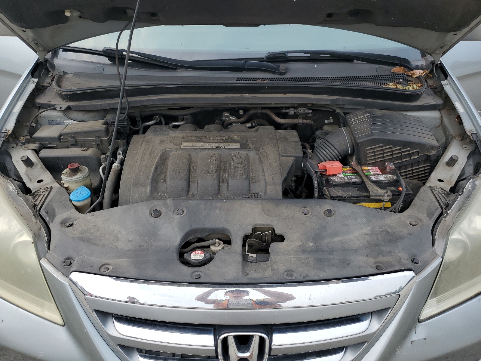 5FNRL38606B018534 2006 Honda Odyssey Exl