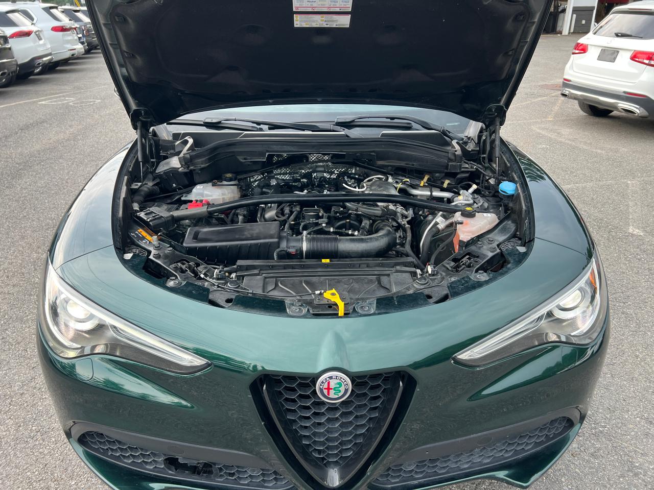 2021 Alfa Romeo Stelvio Ti VIN: ZASPAKBN3M7D10860 Lot: 66433744