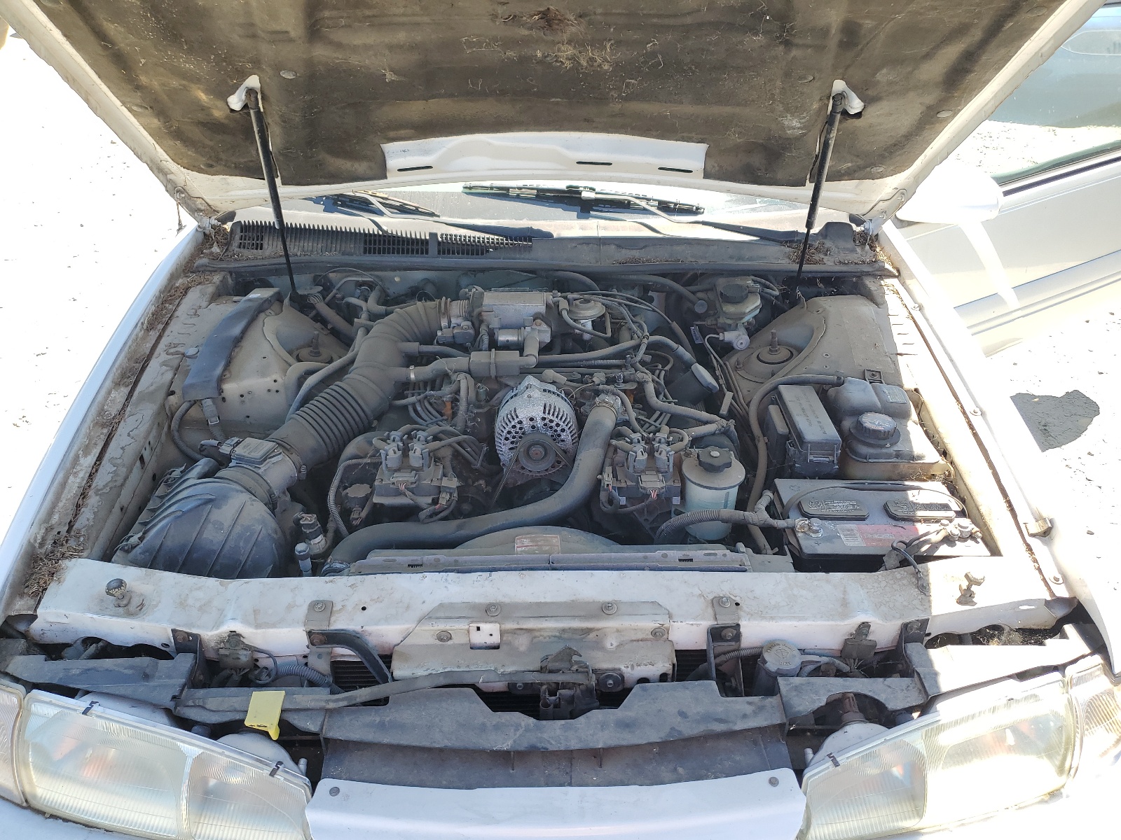 1FALP62W5VH142775 1997 Ford Thunderbird Lx