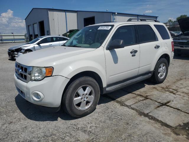 2009 Ford Escape Xlt