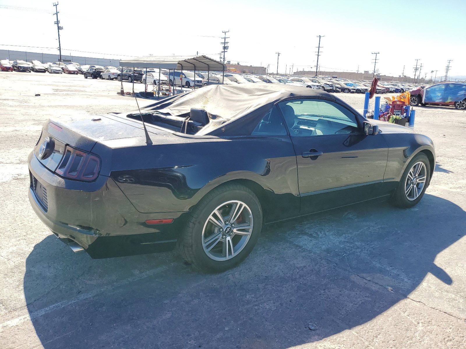 1ZVBP8EM3D5239384 2013 Ford Mustang