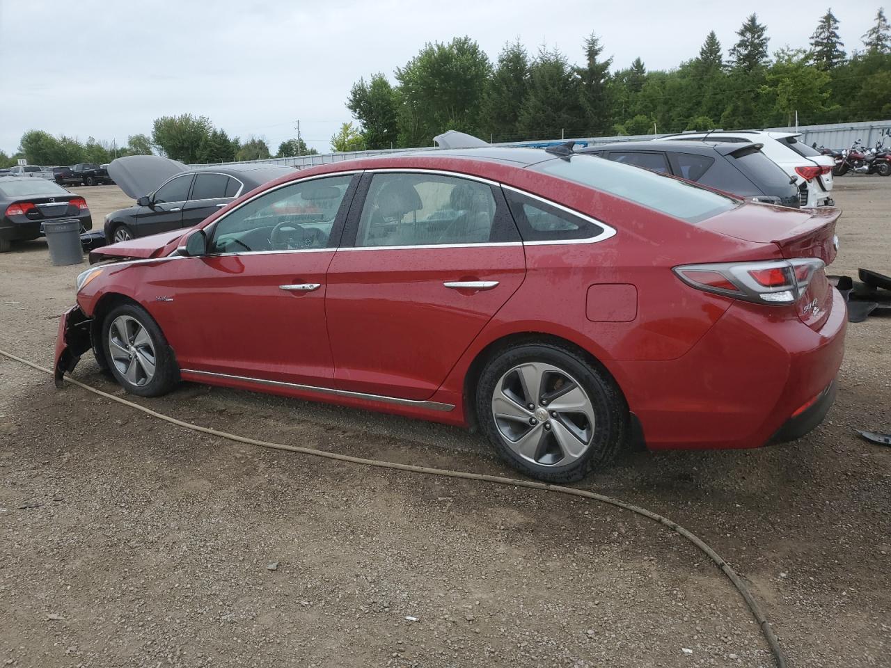 2016 Hyundai Sonata Hybrid VIN: KMHE34L12GA011204 Lot: 65841954