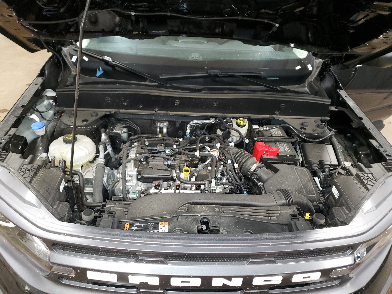 3FMCR9B61RRE24935 2024 Ford Bronco Sport Big Bend