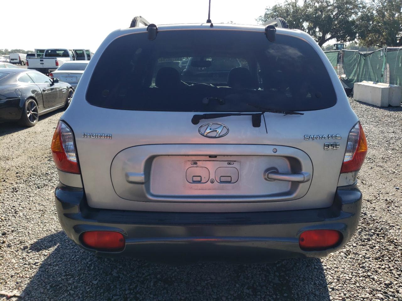 2004 Hyundai Santa Fe Gls VIN: KM8SC13E04U789919 Lot: 69100794