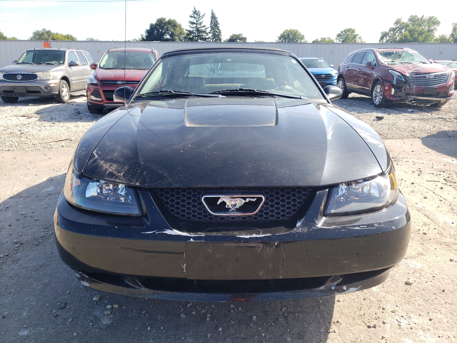 1FAFP44423F330143 2003 Ford Mustang