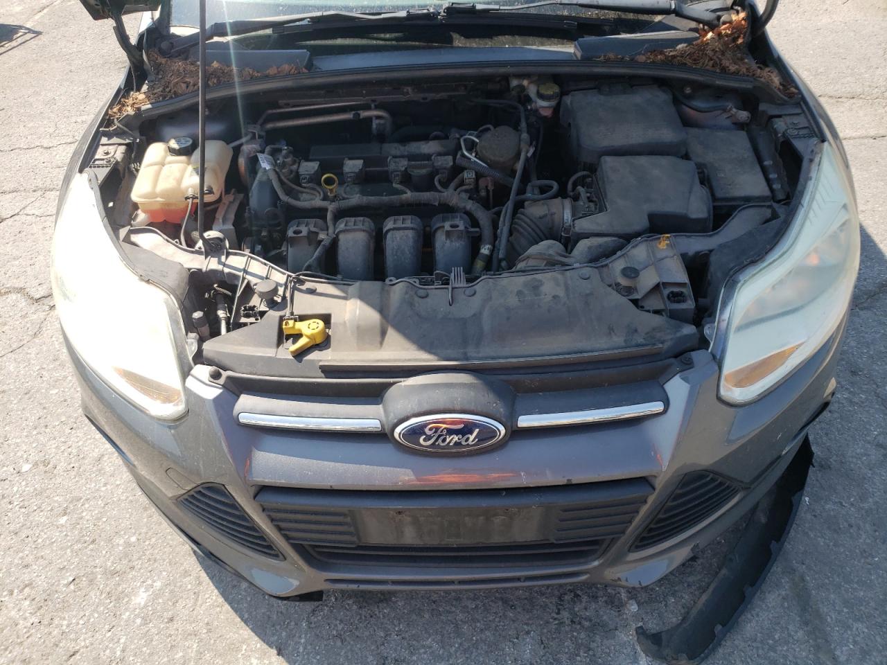 2012 Ford Focus S VIN: 1FAHP3E2XCL378894 Lot: 66417364