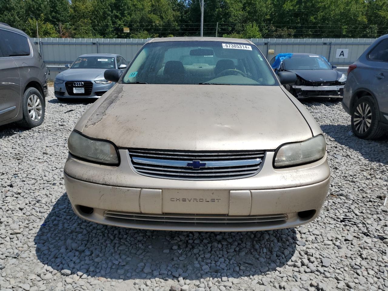 1G1ND52F65M172793 2005 Chevrolet Classic