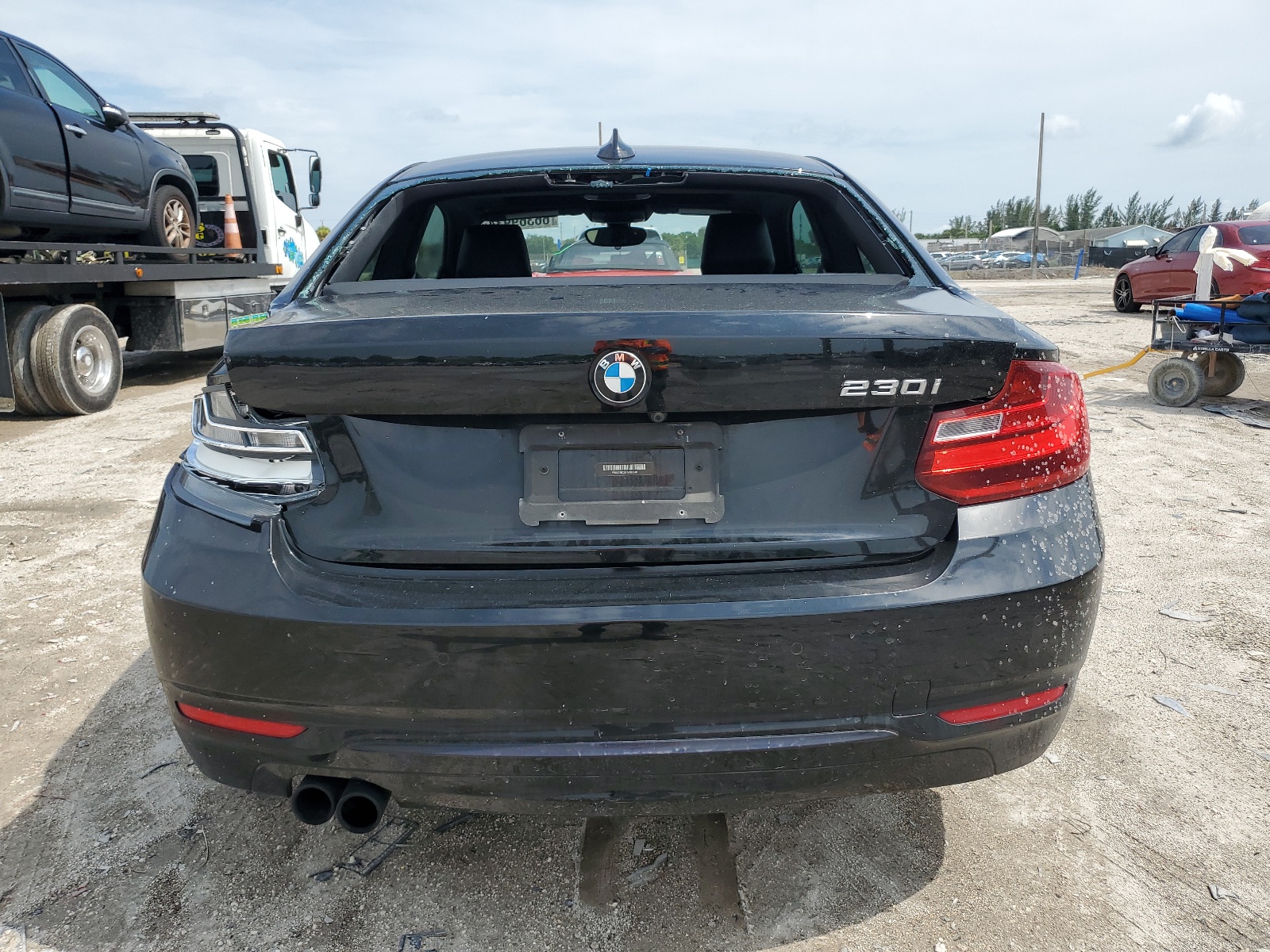 WBA2F9C38HV983846 2017 BMW 230I