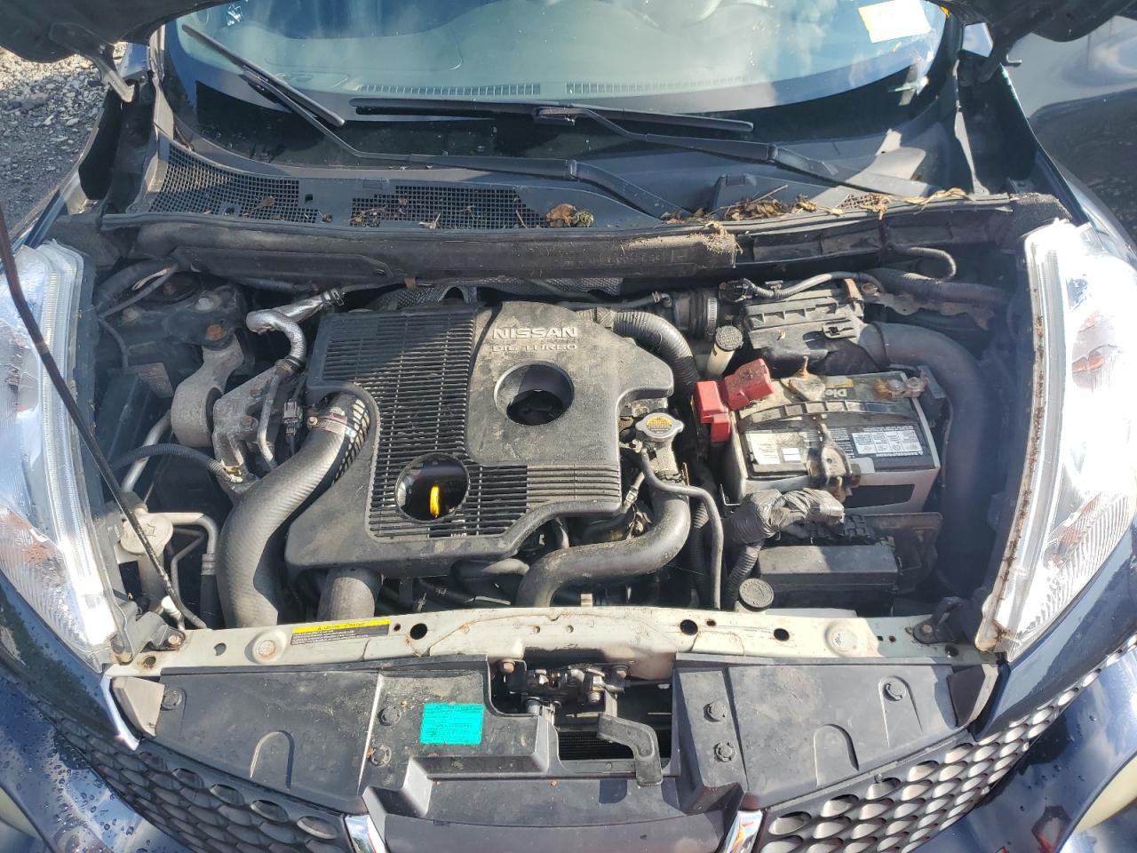 2011 Nissan Juke S VIN: JN8AF5MV8BT026809 Lot: 66734504