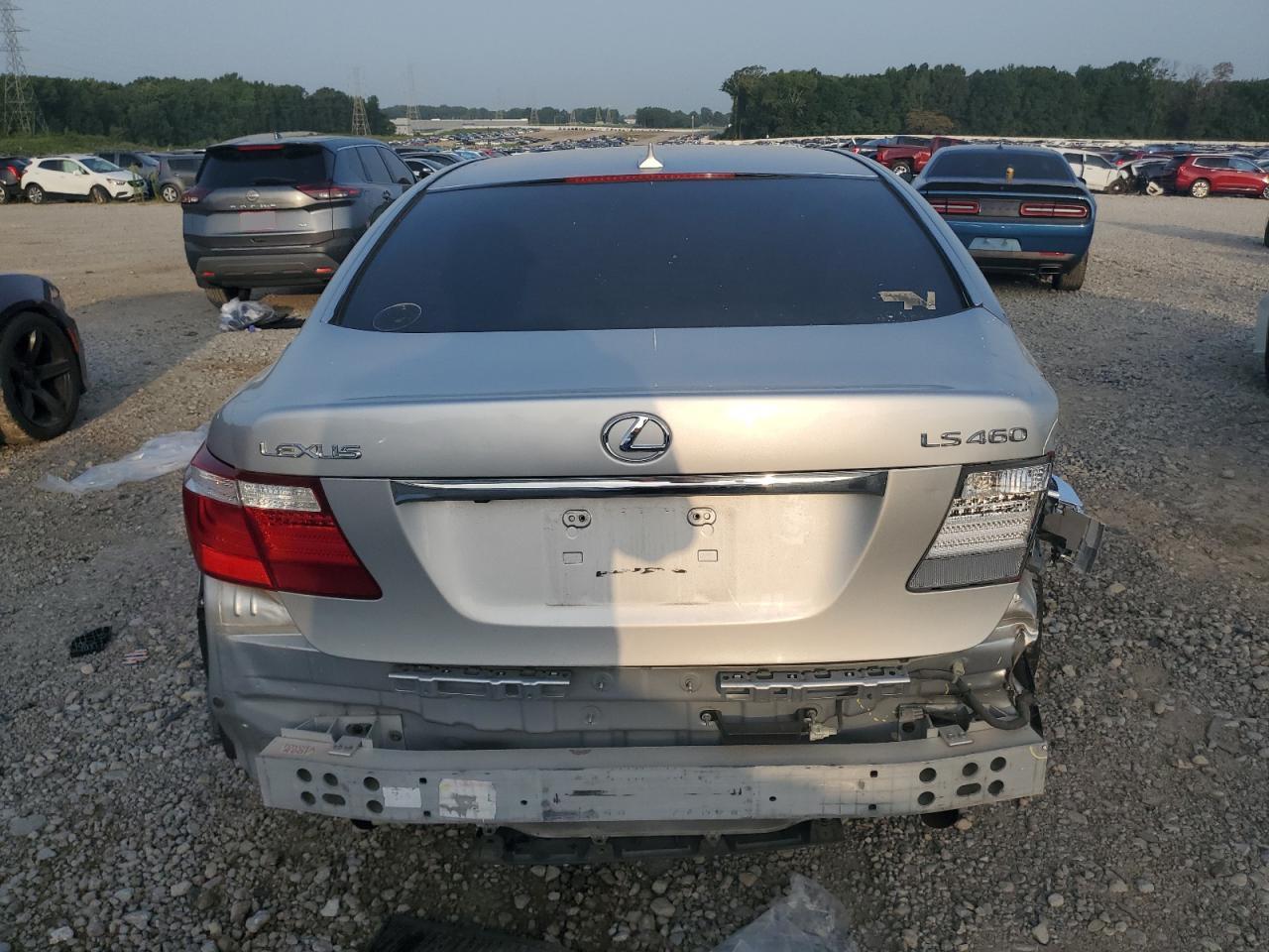 2009 Lexus Ls 460 VIN: JTHBL46FX95089741 Lot: 65480024