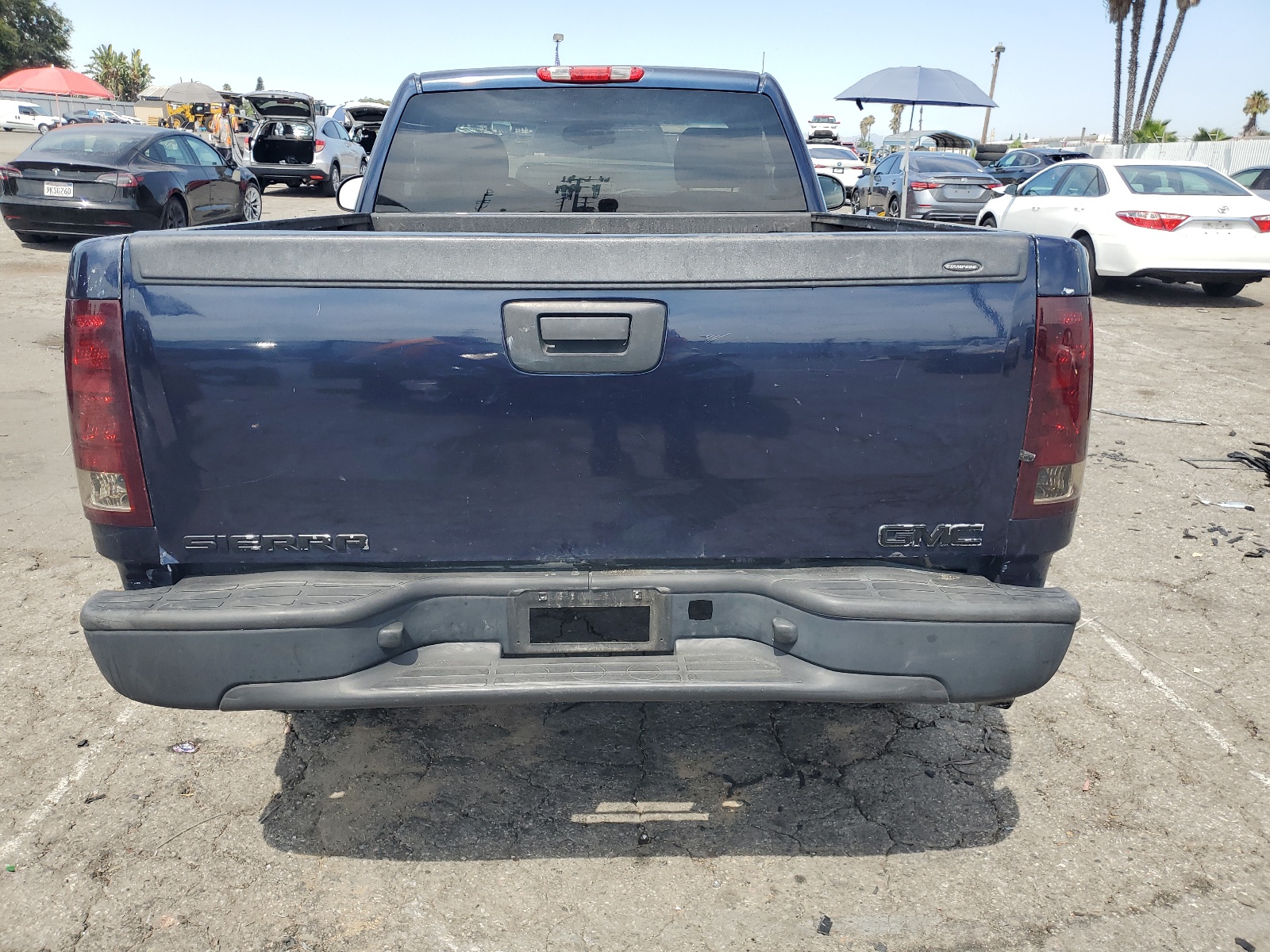 1GTEC14X89Z117831 2009 GMC Sierra C1500