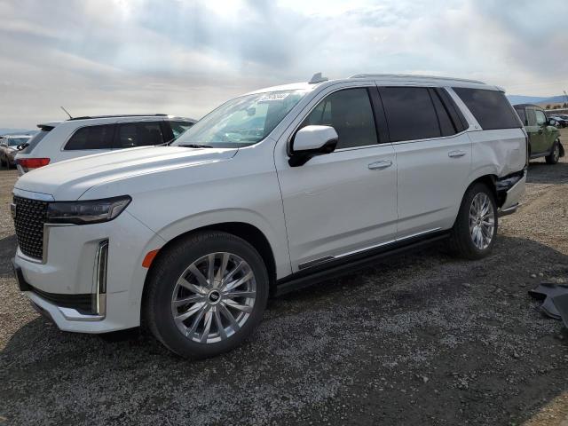 CADILLAC ESCALADE – zdjęcie z aukcji, lot #67976344