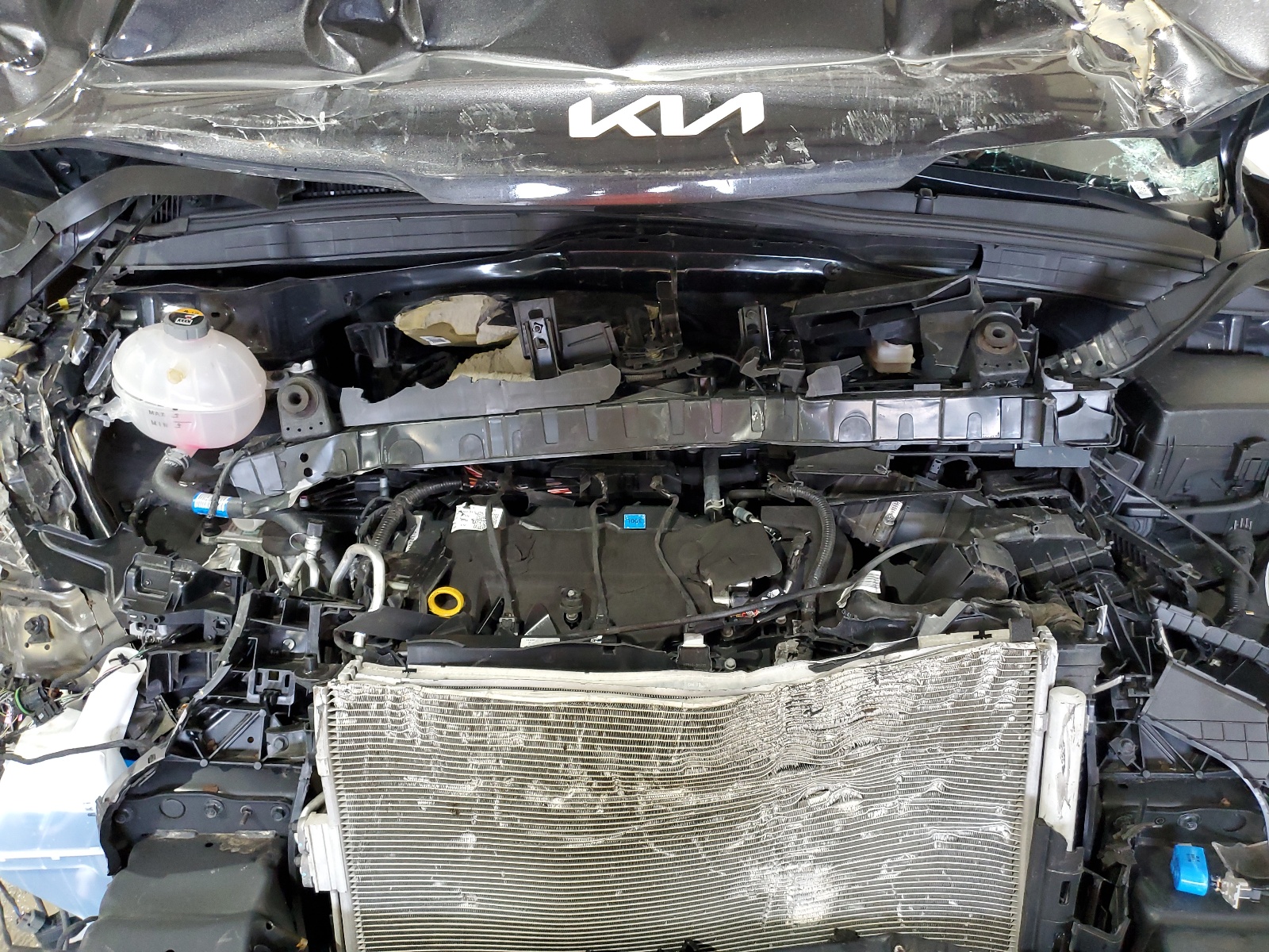 KNDNB4H39P6253816 2023 Kia Carnival Lx