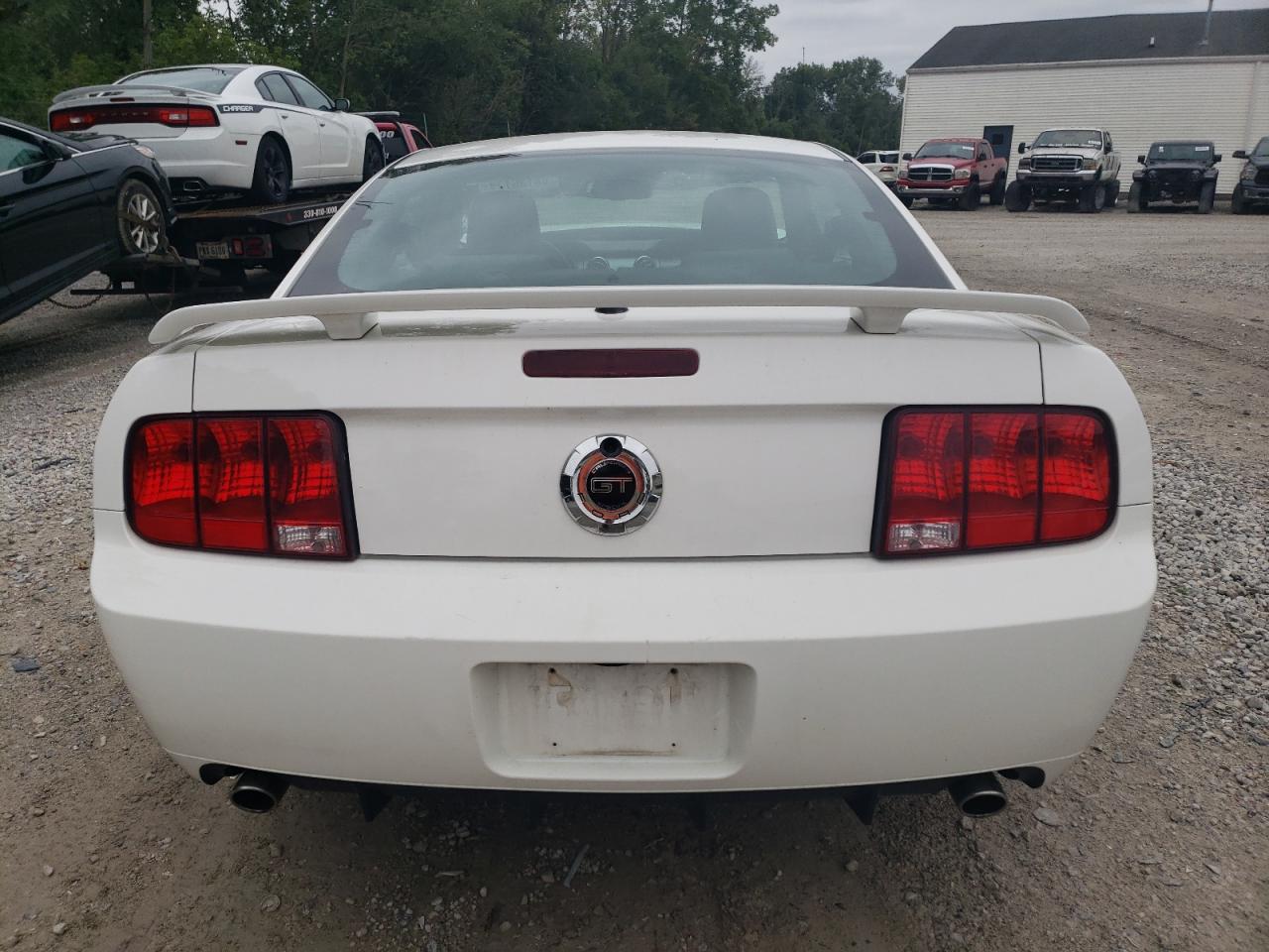 2008 Ford Mustang Gt VIN: 1ZVHT82H685183296 Lot: 68136174