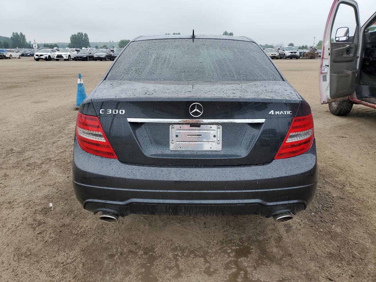 2013 Mercedes-Benz C 300 4Matic VIN: WDDGF8AB0DA795293 Lot: 65234344