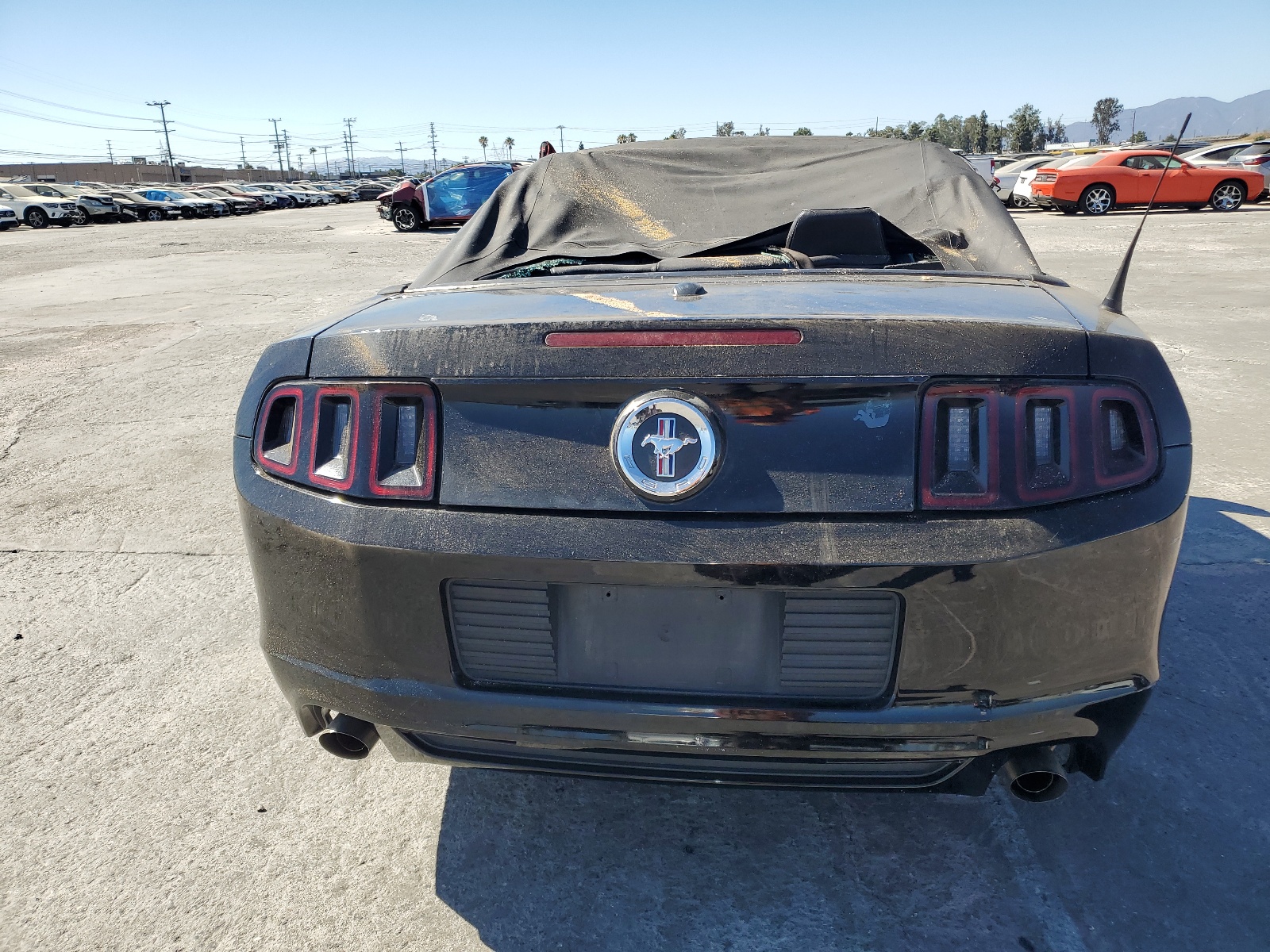 1ZVBP8EM3D5239384 2013 Ford Mustang