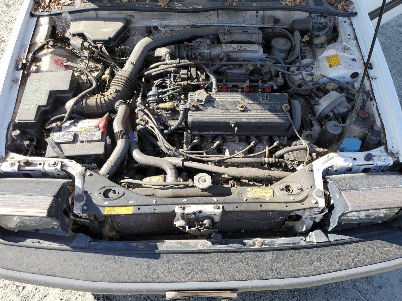 1988 Honda Accord Lxi VIN: 1HGCA628XJA021337 Lot: 67981884