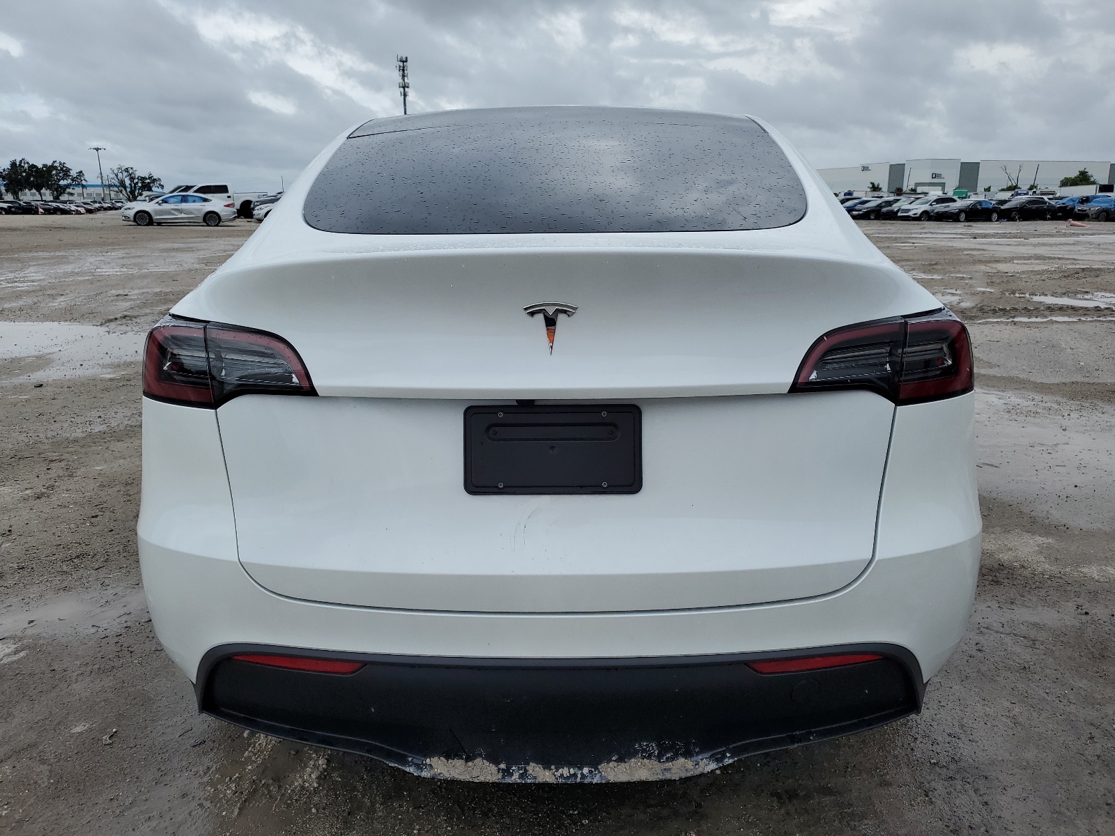 7SAYGDED7PF949917 2023 Tesla Model Y