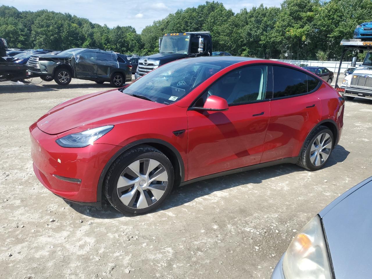 5YJYGDEE5MF196115 Tesla Model Y 