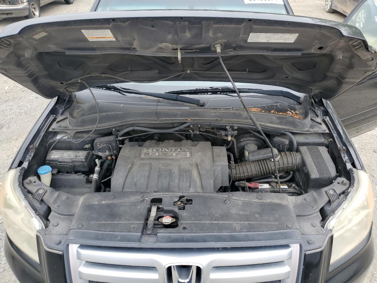 2007 Honda Pilot Exl VIN: 5FNYF28607B008231 Lot: 66195974