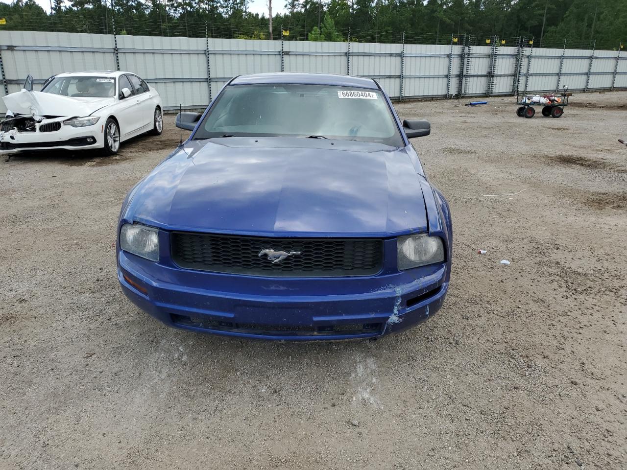 2005 Ford Mustang VIN: 1ZVFT80N455144721 Lot: 66860404