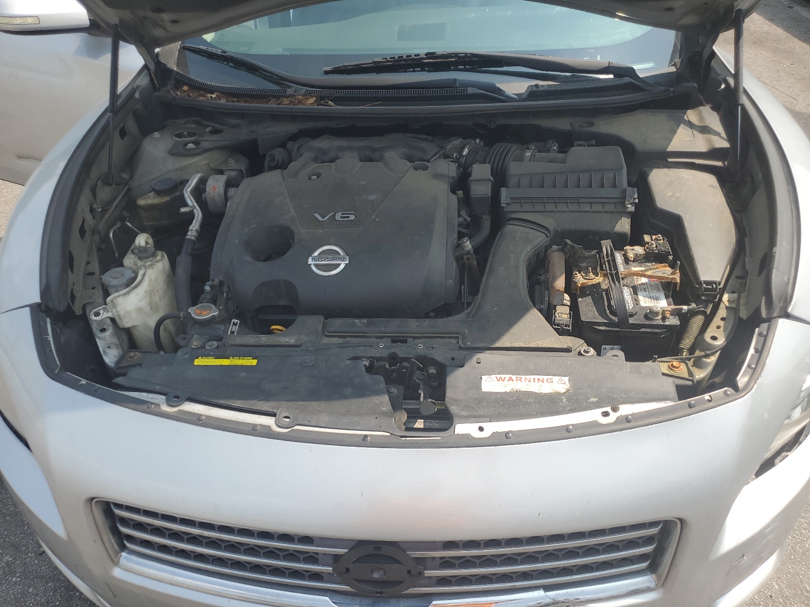 1N4AA5AP4AC822509 2010 Nissan Maxima S