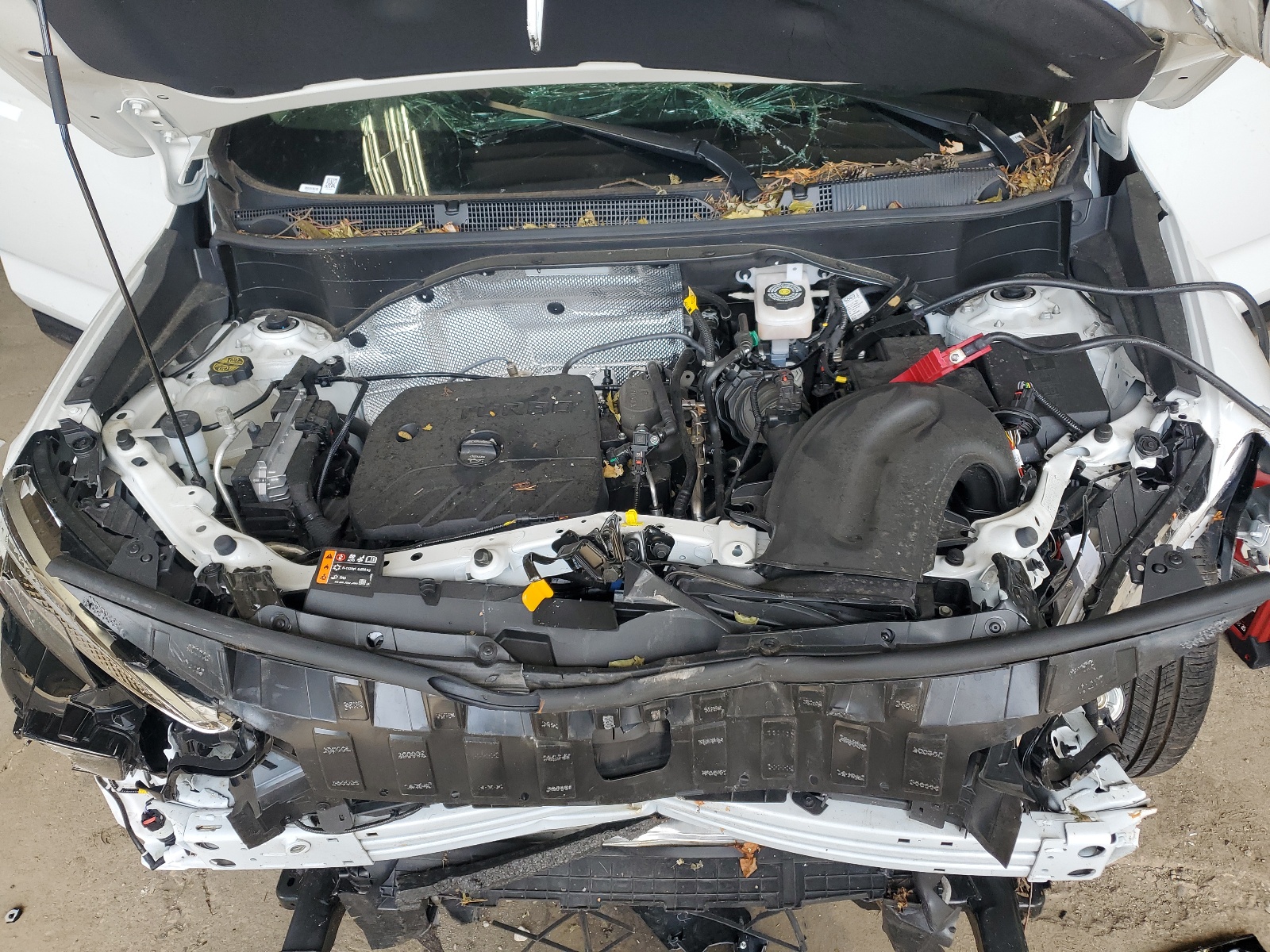 KL4AMESL1RB169601 2024 Buick Encore Gx Sport Touring