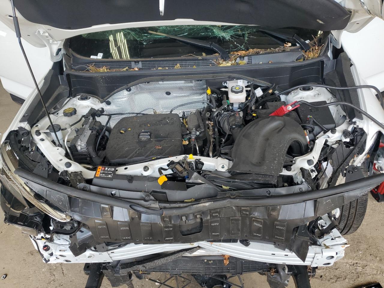 2024 Buick Encore Gx Sport Touring VIN: KL4AMESL1RB169601 Lot: 66602194