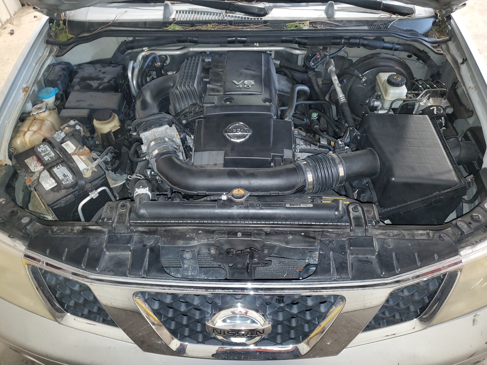 5N1AR18W75C710359 2005 Nissan Pathfinder Le