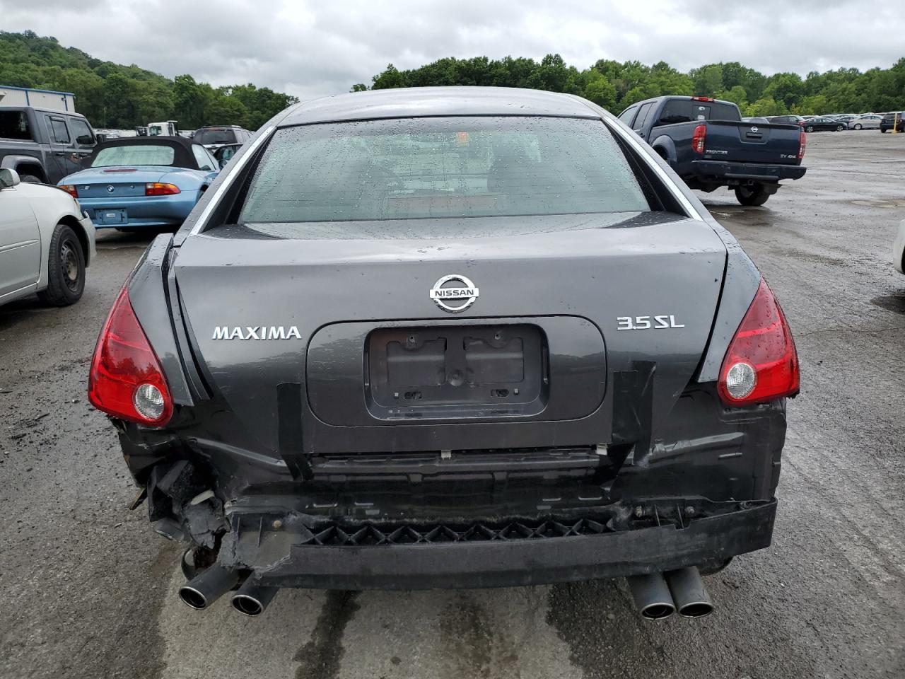 2006 Nissan Maxima Se VIN: 1N4BA41E66C844113 Lot: 66062734