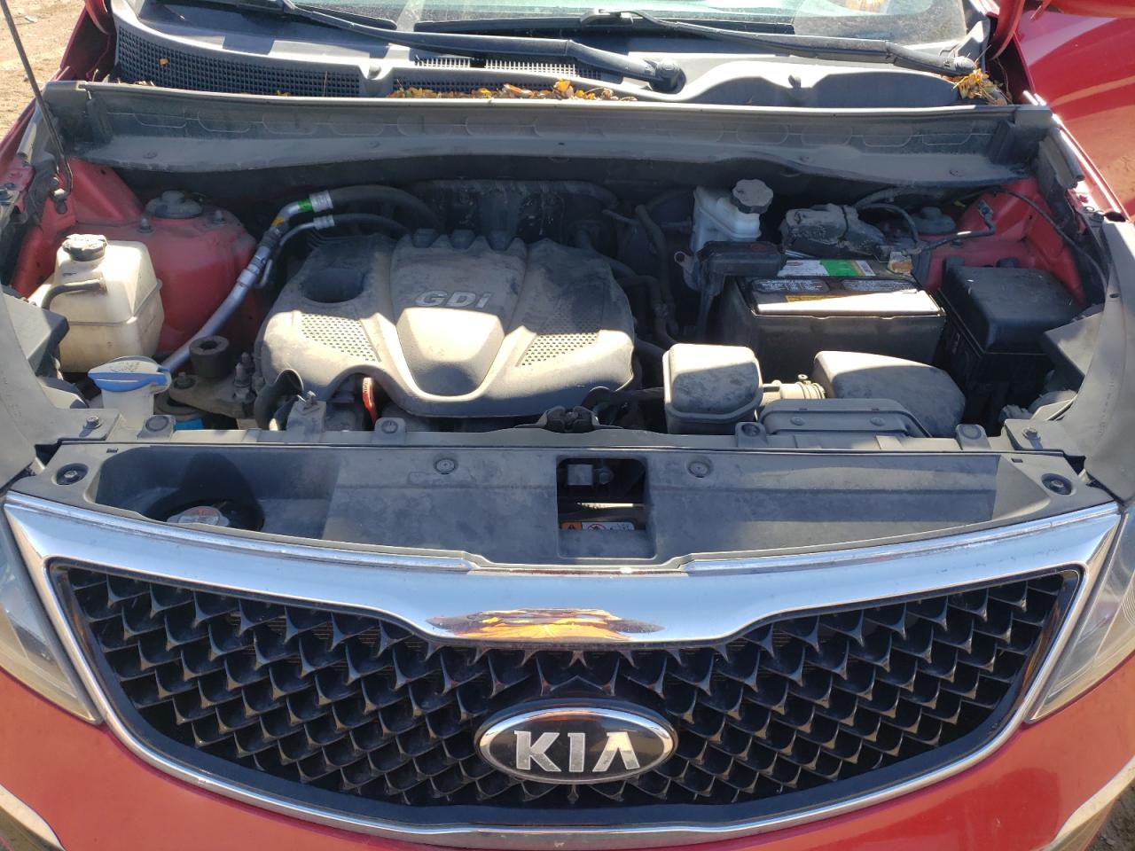 KNDPBCAC1E7549871 2014 Kia Sportage Lx