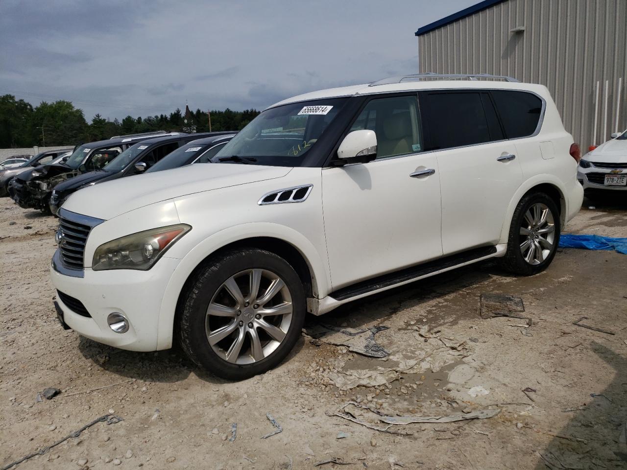 2011 Infiniti Qx56 VIN: JN8AZ2NE8B9006979 Lot: 65668614