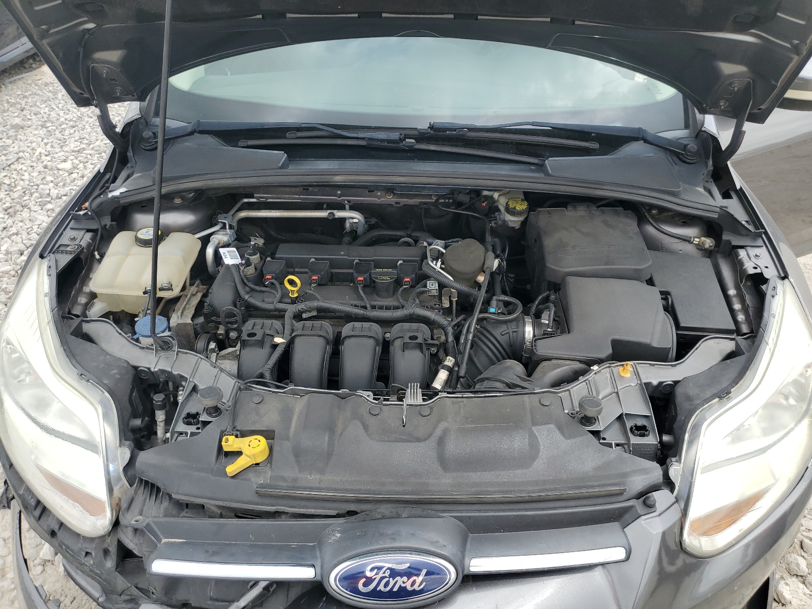 1FADP3F26EL380142 2014 Ford Focus Se