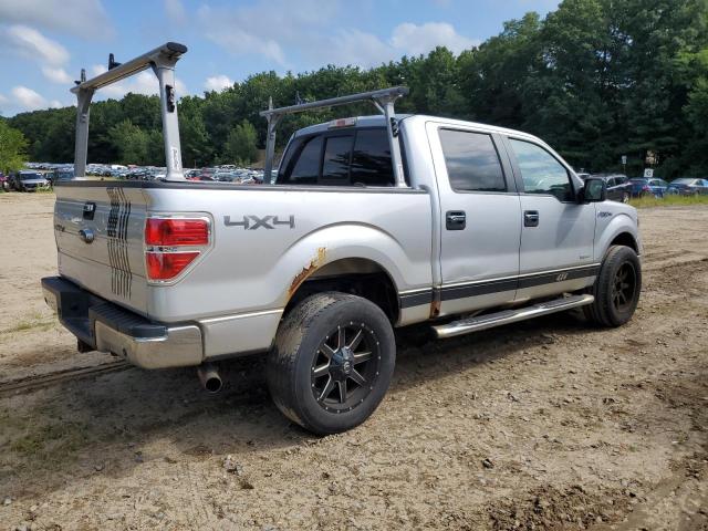 Пикапы FORD F-150 2014 Серебристый