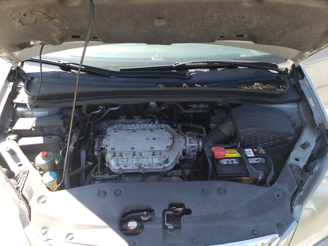 2005 Honda Odyssey Exl VIN: 5FNRL38775B089561 Lot: 66017324