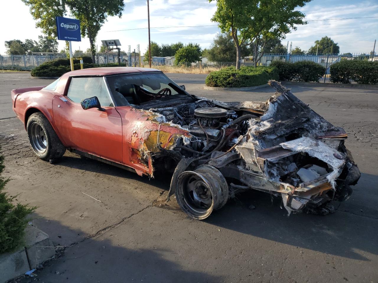 1975 Chevrolet Corvette VIN: 1Z37J5S406524 Lot: 65562584