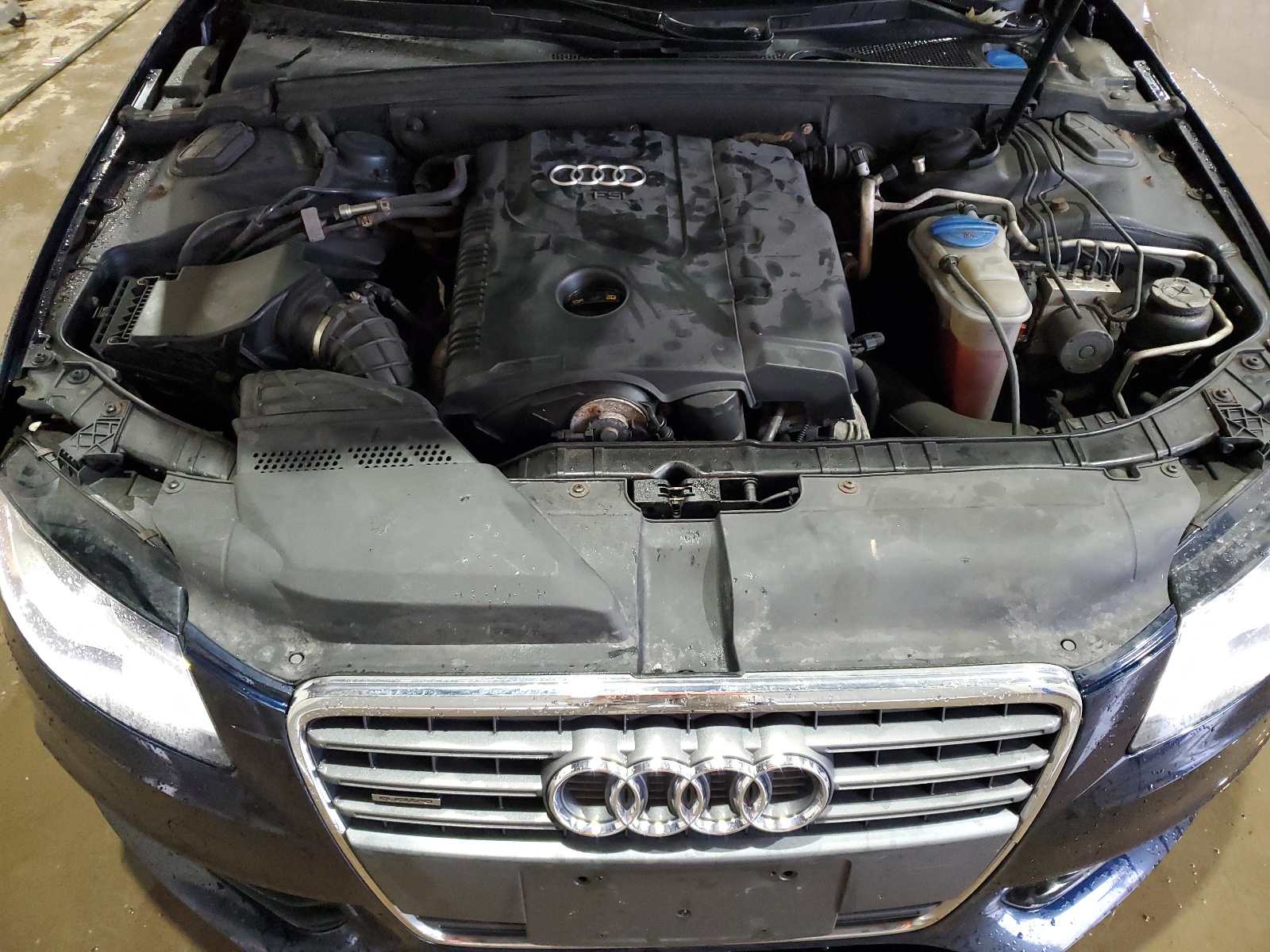 WAUFFAFL1AN052612 2010 Audi A4 Premium Plus